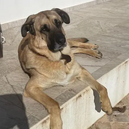Couette-café Quinta Madrugada Burgau Luz